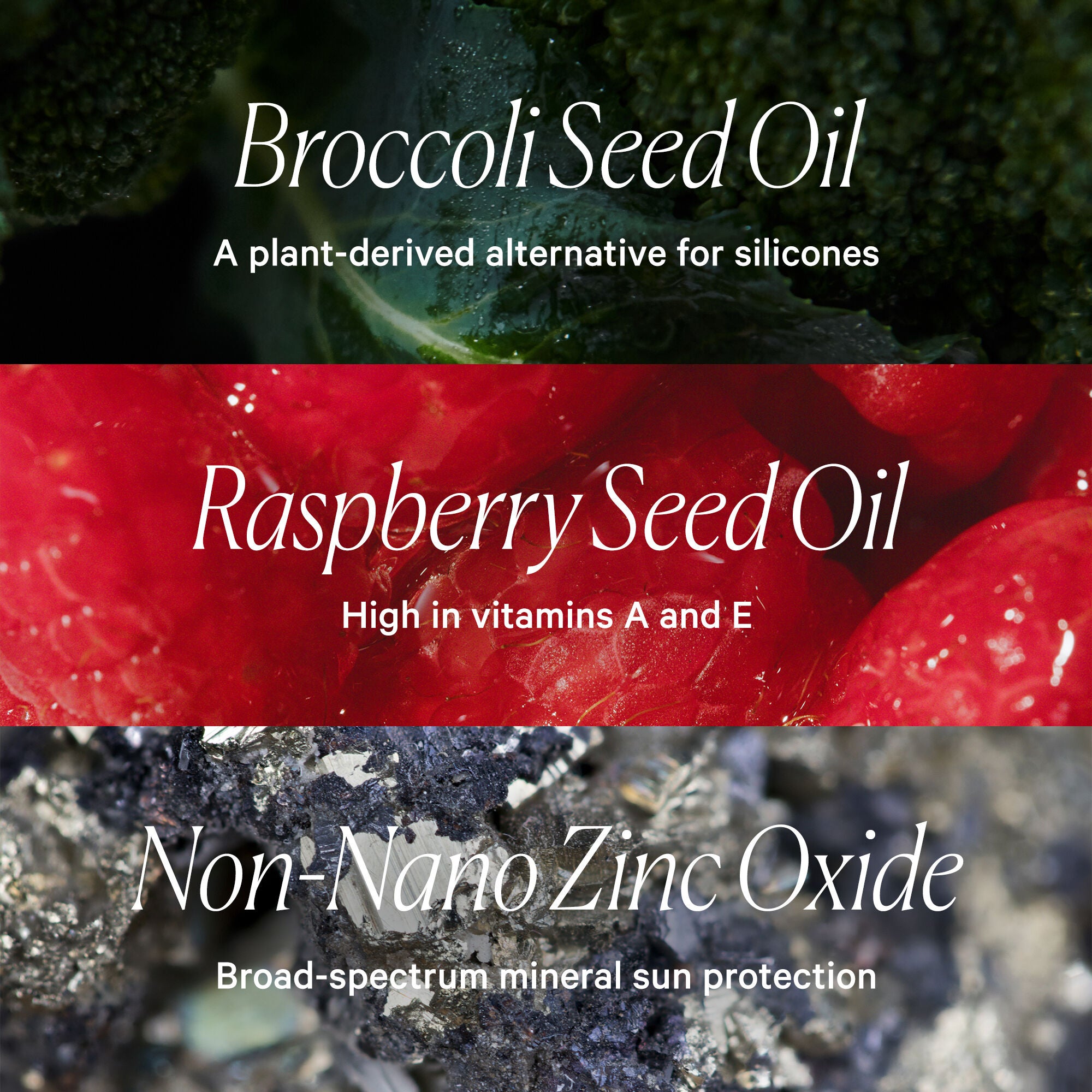 Bio Tint SPF 30 Tinted Moisturizer